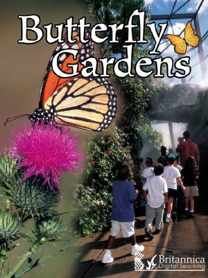 cover image of Butterfly Gardens